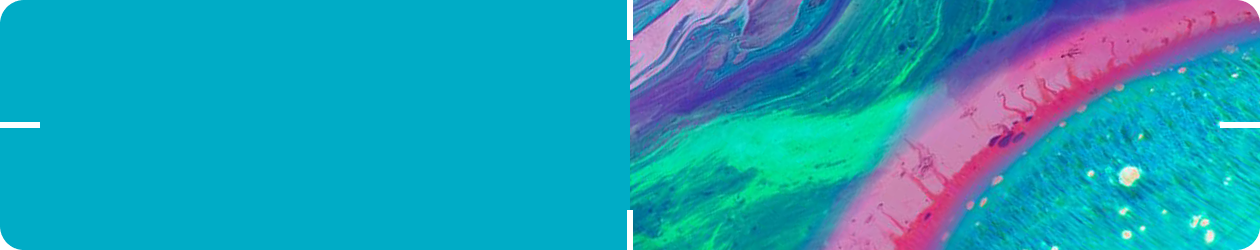 Clinical Evidence Summary-Gastrointestinal Health and Antibiotic Associated Diarrhoea. Probiotic strains BB-12® and LA-5®