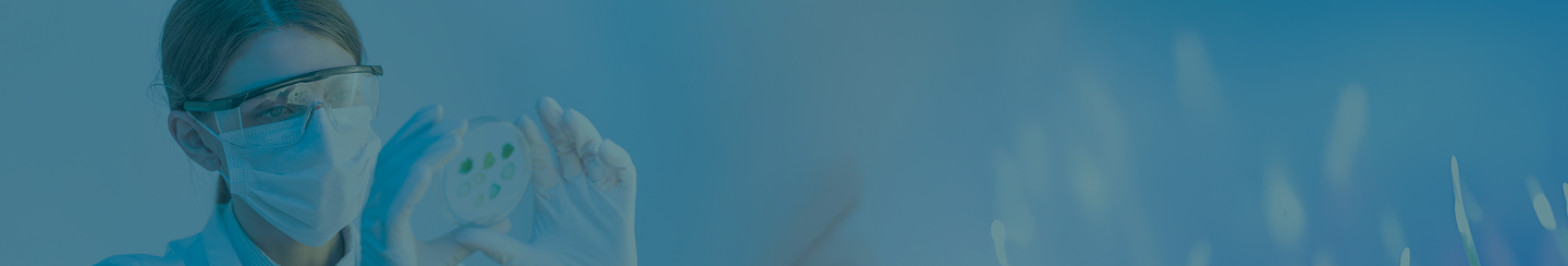 Newsletter background